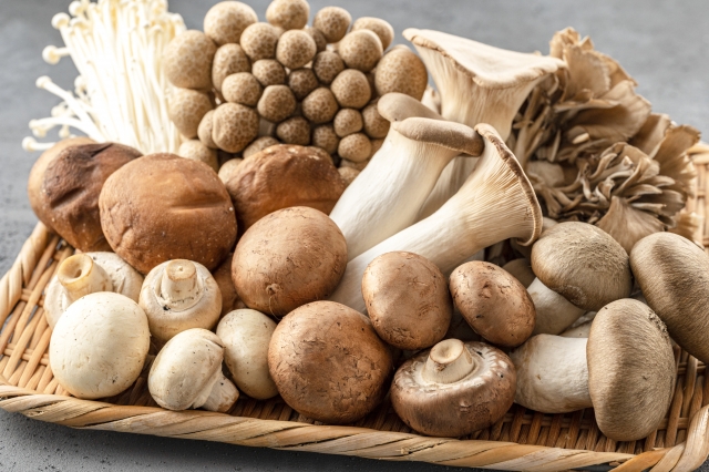 きのこで腸活・菌活を始めよう！腸活レシピや腸活スープもご紹介