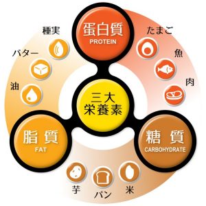 三大栄養素とは？五大栄養素との違いをわかりやすく解説